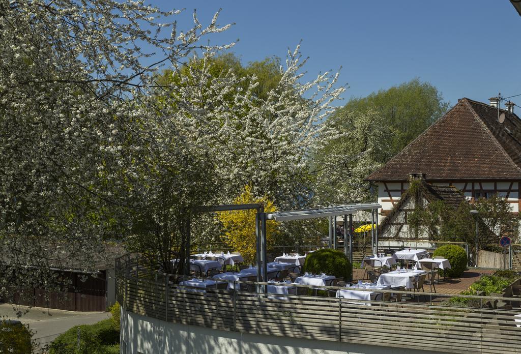 Pilgerhof Und Rebmannshof Otel Uhldingen-Mühlhofen Dış mekan fotoğraf